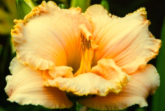 Been There Done Биин Зере Доун Зет