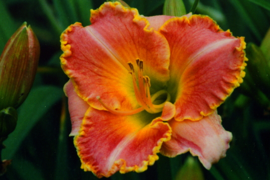 Бетте Зен Эве  Better Than Ever