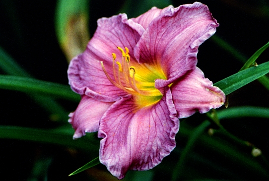 Beyond The Blue Бейонд эе Блю