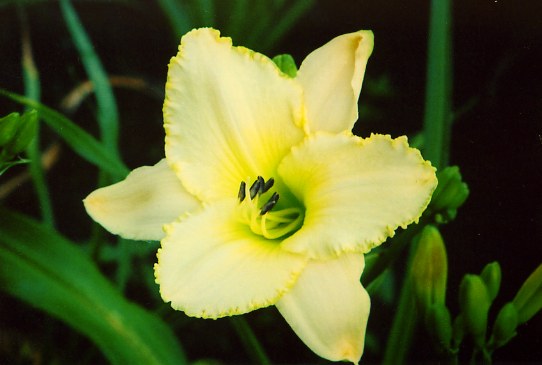 Близард Бэй Blizzard Bay