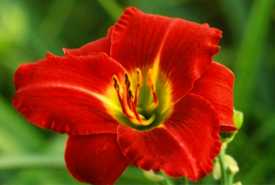 Complementary Colors Комплиментри Калас