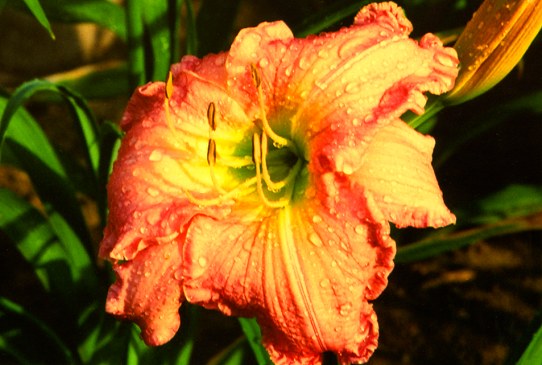 Creative Moments Креатив Моментс