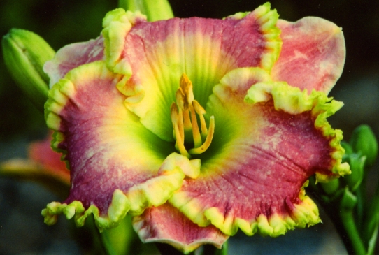 Emerald Bay Эмерелд Бэй