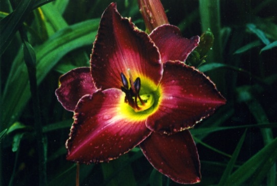 Exquisitely Subversive Экскьюсители Сабверсив