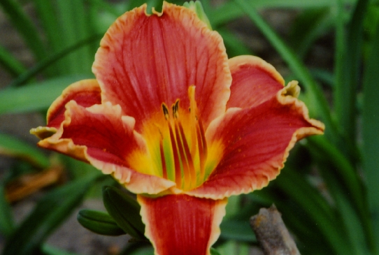 Geneva Firetruck Женева Файетрек