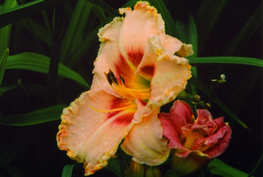 Henry Boykin Хенри Бойкин