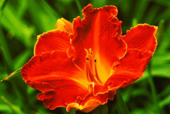 Jump Start Джамп Старт