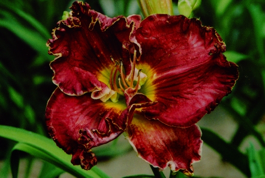 Just as I Am Джаст эс Ай Эм