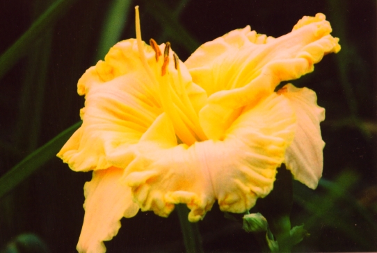 Key to the Kingdom Кей то зе Киндом