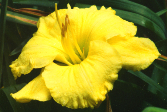 Life of the Party Лайф оф зе Пати