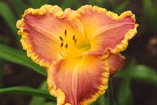 Свет Сквозь Года Light Years Away