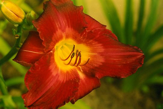 Найроби Ночь Nairobi Night