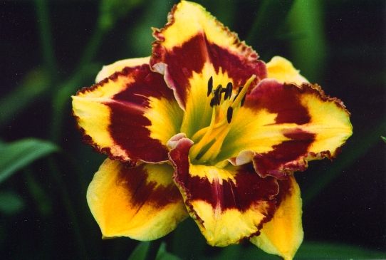 New Paradigm Нью Парадигм