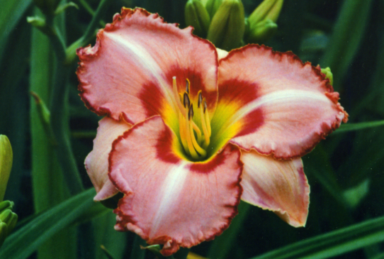 Only Believe Оунли Билайв