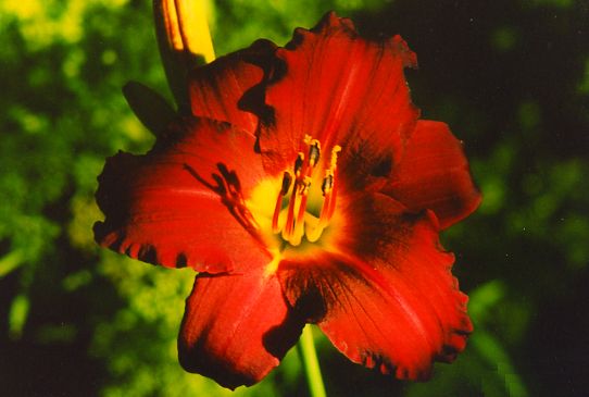 Пардон Ми Pardon Me