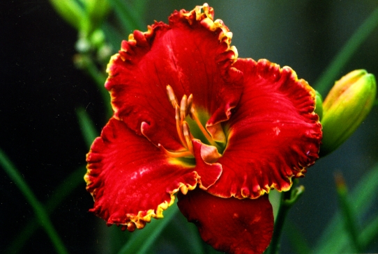 Running Hot Ранин Хот