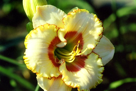 Шестое Чувство  Sixth Sense