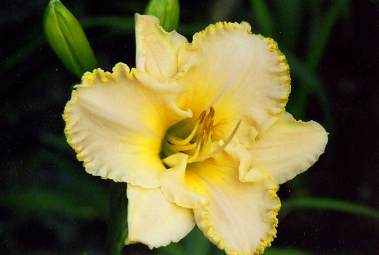 Something Wonderful Самсинг Уандефул