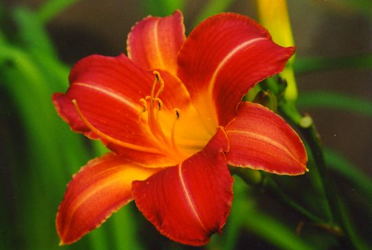 Старый Замок Staryi Zamok