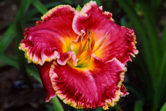 Talladega Таладега