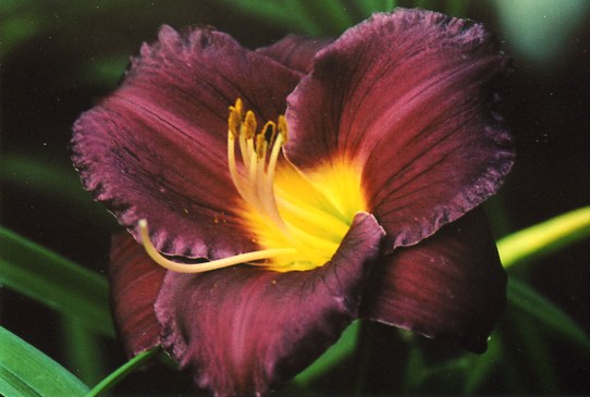 Анчартеред Уотерс  Unchartered Waters