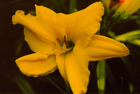 Уинин Вэйз Winning Ways