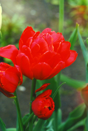 ��������� Stockholm